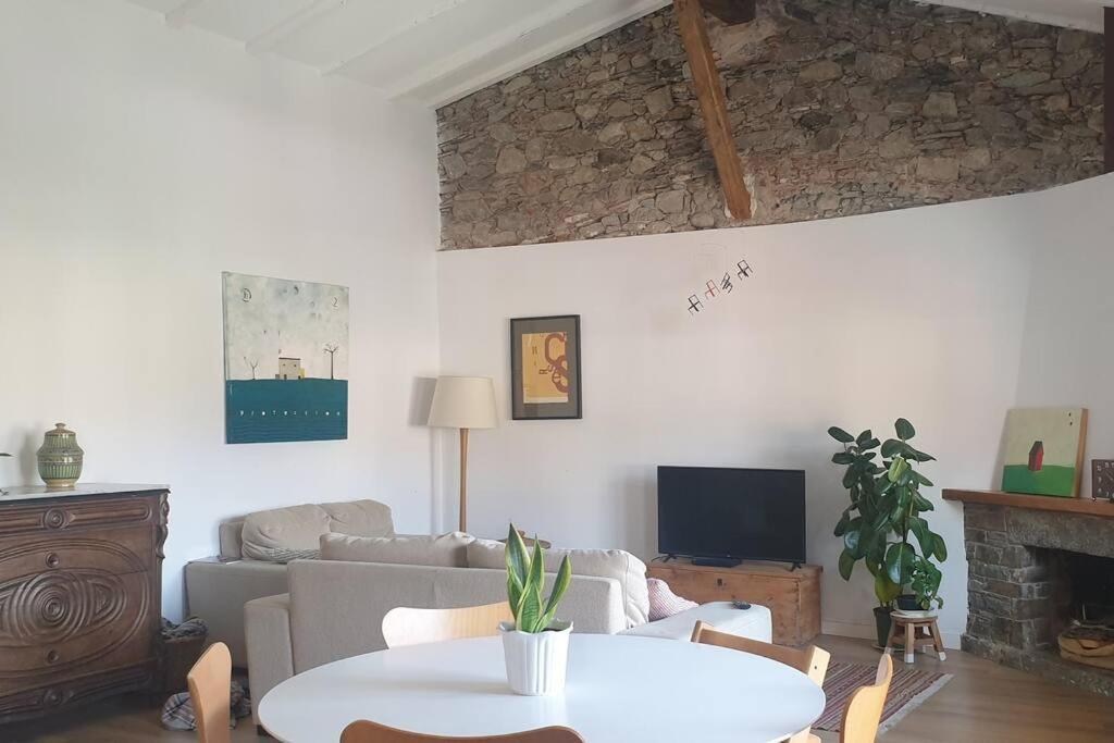 Apartamento Centrico Con Vistas! Camprodon Bagian luar foto